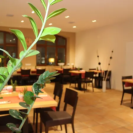 City Hotel Wuerzburg מלון 2*