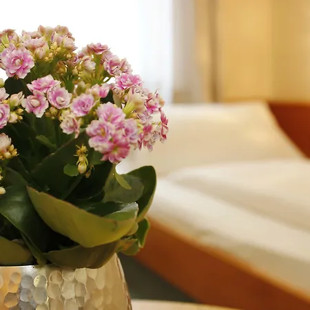 City Hotel Wuerzburg מלון 2*